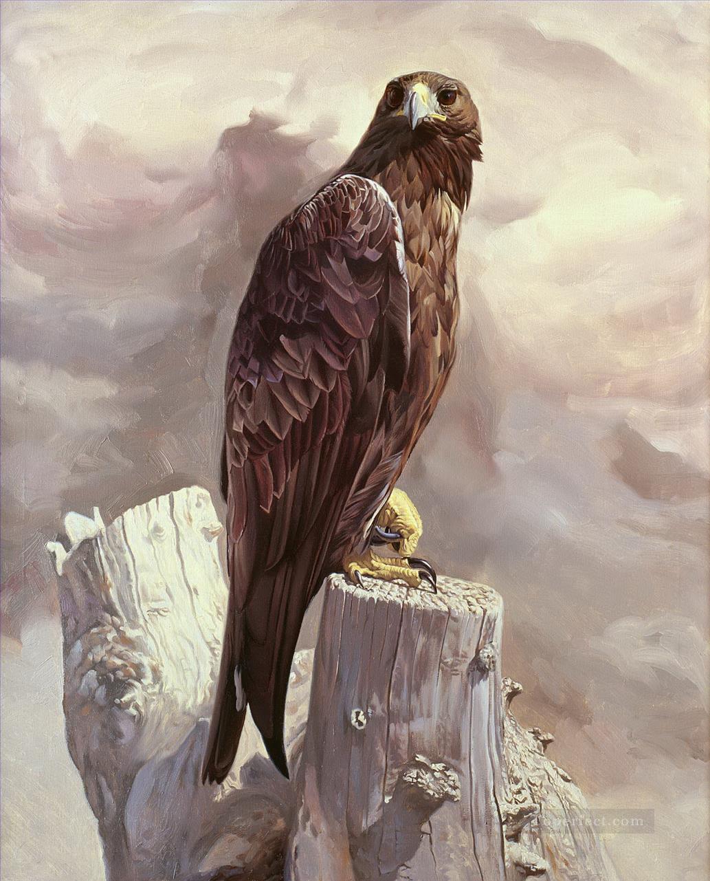 thinking eagle birds Oil Paintings
